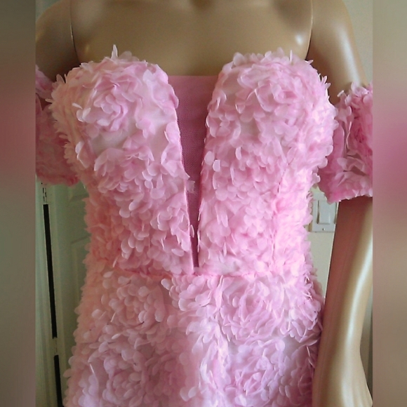 BNWOT DRESSY DRESS BY FAERIESTY SOFT PINK SZ. XL W/ 3D FLOWERS STRAPLESS LINED - Picture 3 of 11